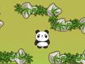 Panda Quest, lai spēlētu online