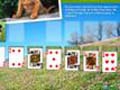 Animal Planet Solitaire, lai spēlētu online