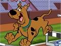 Scooby Doo - skrējiens, lai spēlētu online